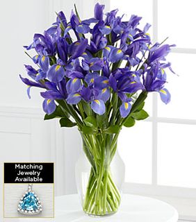 Blue iris 