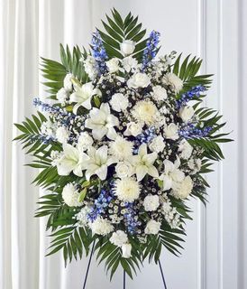 Blue & White Sympathy