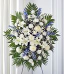 Blue & White Sympathy
