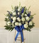 Blue & White Sympathy sm