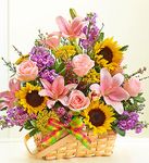 Bountiful Basket