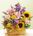 Bountiful Basket