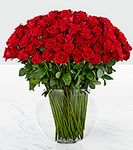 Breathless Rose Bouquet Breathless Rose Bouquet