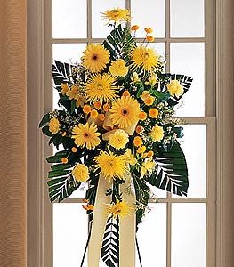 Brighter Blessings Spray