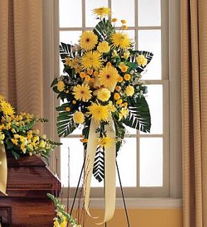 Brighter Blessings Spray flowers