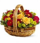 Bundle of Sunshine Flowers Bundle of Sunshine Flowers