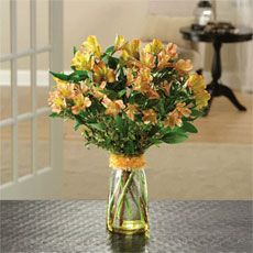 Burst of Alstroemeria