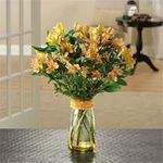 Burst of Alstroemeria