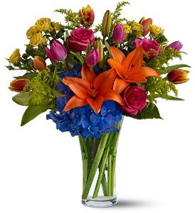 Burst of Color Flowers 