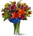 Burst of Color Flowers Burst of Color Flowers