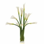 Calla Lilies Calla Lilies
