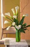 Calla Lily Bouquet Calla Lily Bouquet