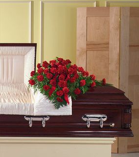 Carnations Casket cover Medium