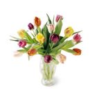 Carnival Bouquet Carnival Bouquet