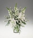 Casa Blanca Lilies Bouquet