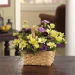 Celebrate the Day! flowers