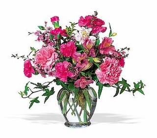 Cheerful Carnations 