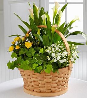 Cheerful Wishes Blooming Basket