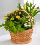 Cheerful Wishes Blooming Basket  Cheerful Wishes Blooming Basket
