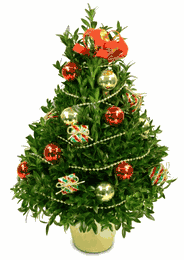 Christmas Centerpieces