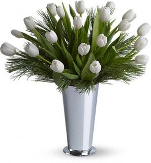 Christmas Flowers >Tulips and Pine Flowers 