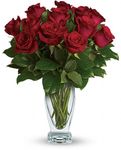 Classique - Dozen Red Roses Classique - Dozen Red Roses
