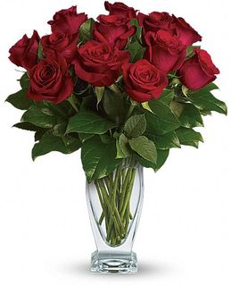 Classique - Dozen Red Roses