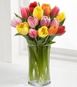 Color Assorted Tulip 10 stems Color Assorted Tulip 10 stems
