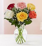 Color Rose
