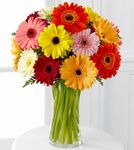 Colorful World Gerbera Daisy Bouquet Colorful World Gerbera Daisy Bouquet
