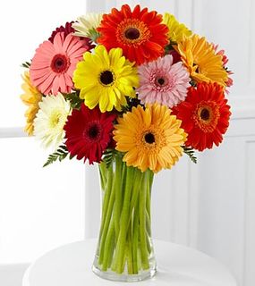 Colorful World Gerbera Daisy Bouquet