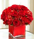 Colors of Love - Red Colors of Love - Red