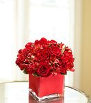 Colors of Love - Red Colors of Love - Red