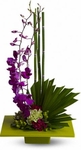 Congratulations flowers