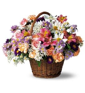 Country Days flowers