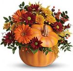 Country Pumpkin Flowers Country Pumpkin Flowers