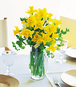 Daffodils