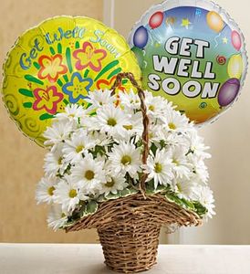 Daisies with Get Well Balloons
