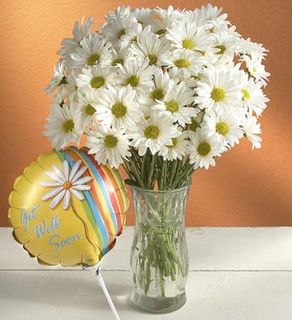 Daisy Bouquet to say Get Well flowers