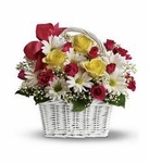 Daisy Dreams Basket Daisy Dreams Basket