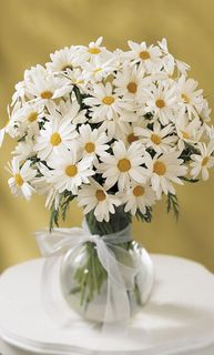 Daisy Vase  