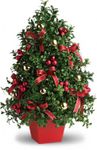 Deck the Halls Tree Deck the Halls Tree