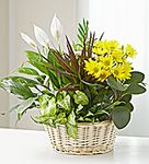 Dish Garden with Fresh Cut Flowers Dish Garden with Fresh Cut Flowers