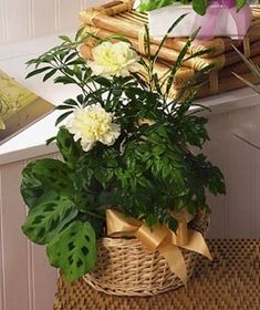 Dishgarden with flowers