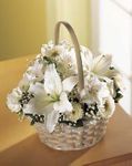 Divinity Basket 