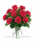 -Dozen Red Carnations