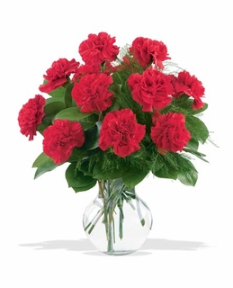 -Dozen Red Carnations