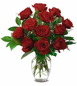 Special a Dozen Red Rose Arrangement 