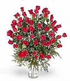 Large Valentine's Red Rose 