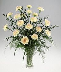 Eighteen carnations in a clear vase 